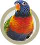 Vögel